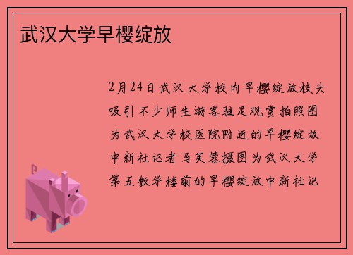 武汉大学早樱绽放