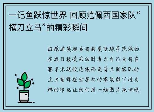 一记鱼跃惊世界 回顾范佩西国家队“横刀立马”的精彩瞬间