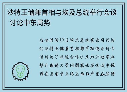 沙特王储兼首相与埃及总统举行会谈 讨论中东局势